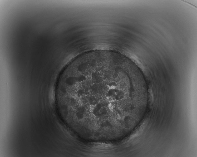 X0000094960347200712061316