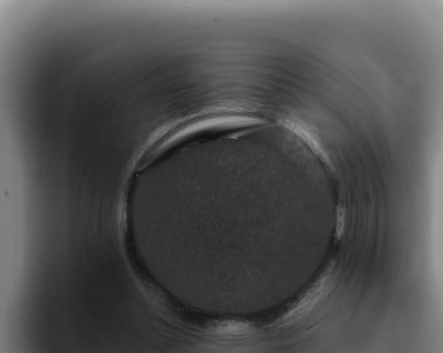 X0000094960348200712061316