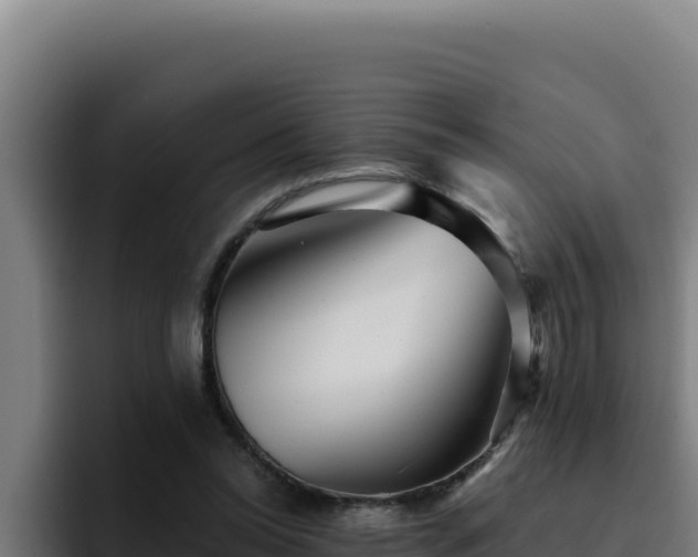 X0000094960350200712061316