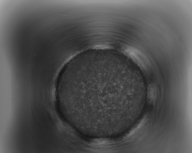 X0000094960351200712061316