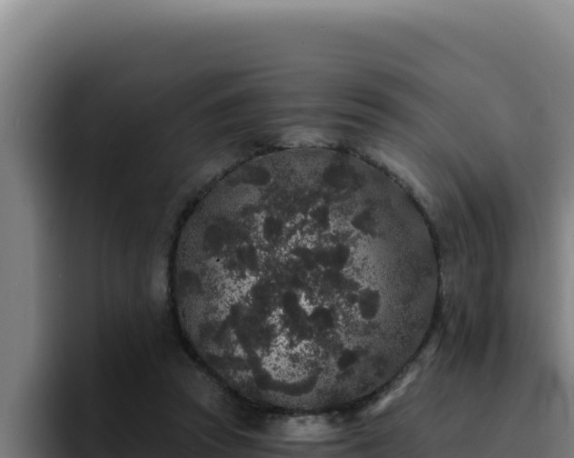 X0000094960353200712061316