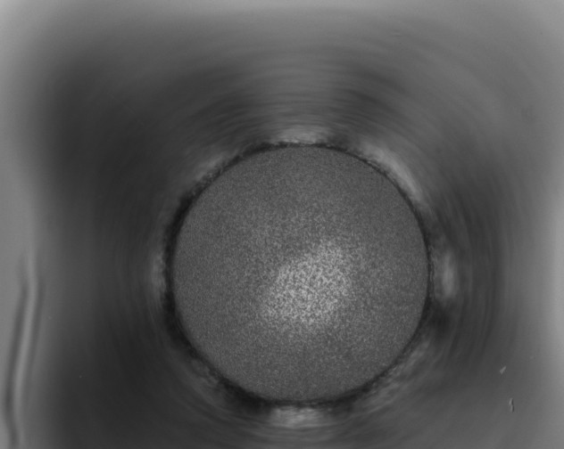 X0000094960354200712061316