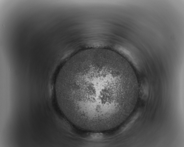 X0000094960355200712061316