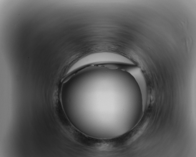 X0000094960356200712061316