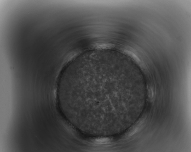 X0000094960357200712061316