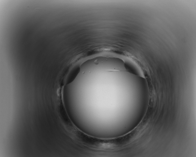 X0000094960360200712061316