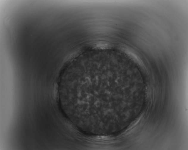 X0000094960361200712061316