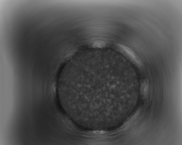 X0000094960363200712061316