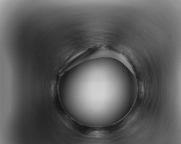 X0000094960364200712061316