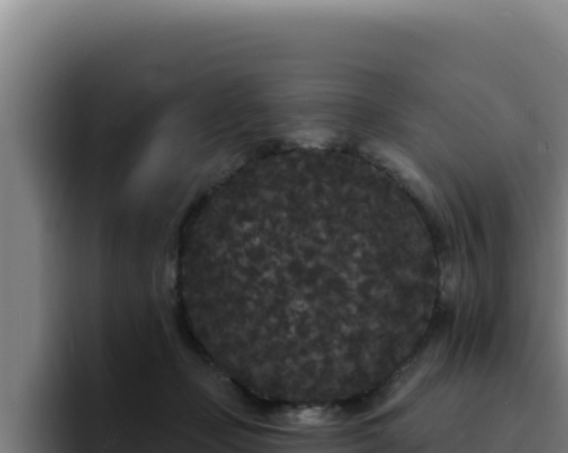 X0000094960365200712061316