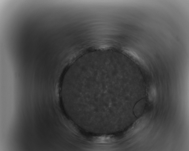 X0000094960366200712061316