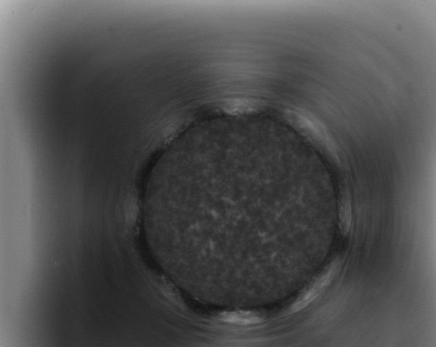 X0000094960367200712061316