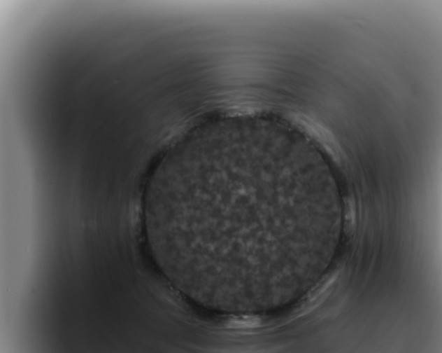 X0000094960369200712061316