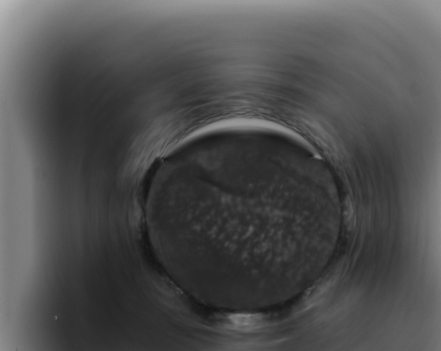 X0000094960371200712061316