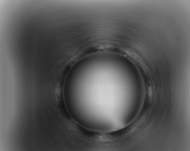 X0000094960372200712061316