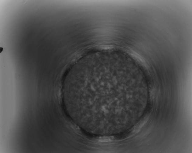 X0000094960373200712061316