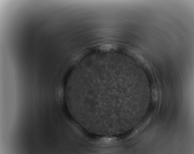 X0000094960375200712061316