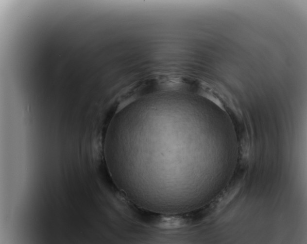 X0000094960376200712061316