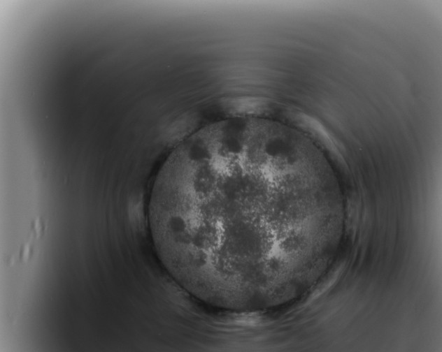 X0000094960377200712061316