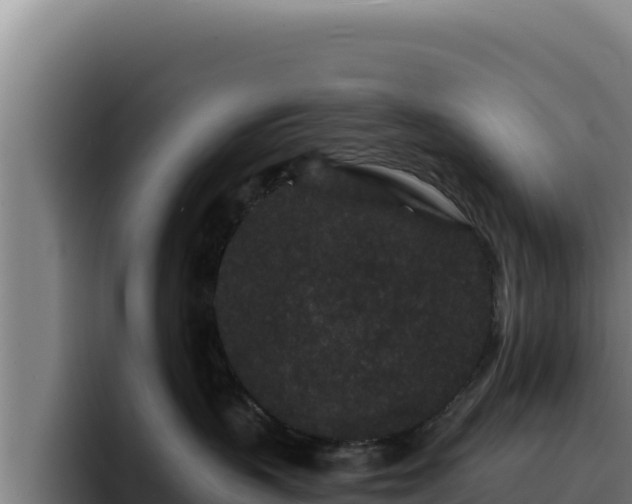 X0000094960383200712061316