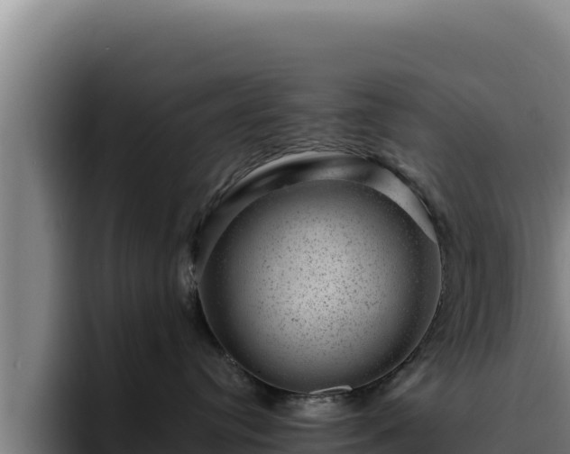 X0000094960384200712061316