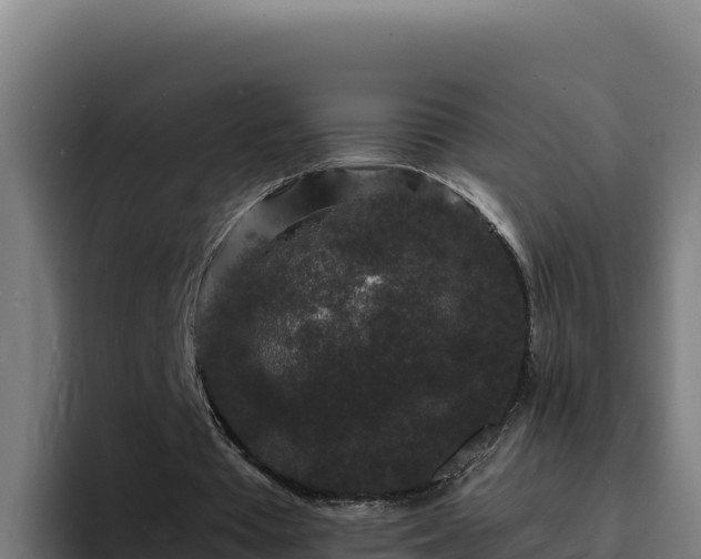 X0000094960385200712061316