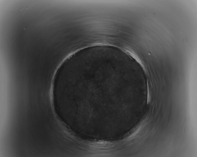 X0000094960387200712061316