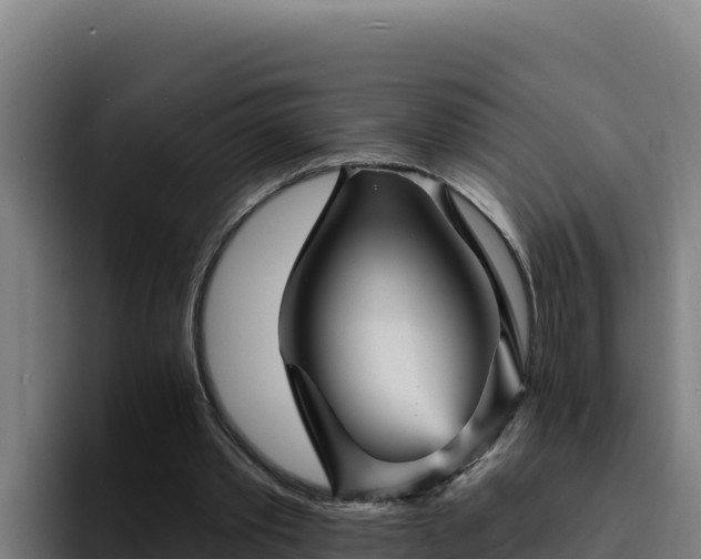 X0000094960389200712061316