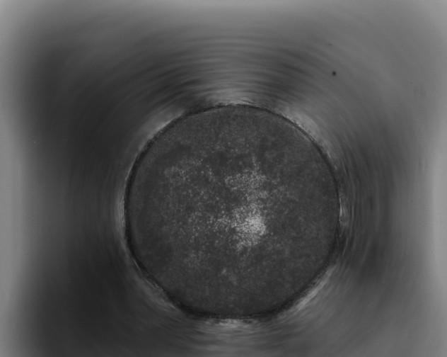 X0000094960390200712061316