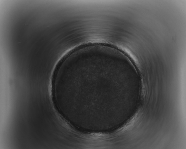 X0000094960391200712061316