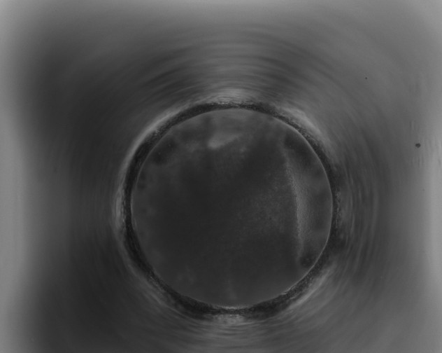 X0000094960392200712061316