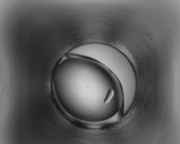 X0000094960393200712061316