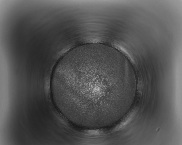 X0000094960394200712061316