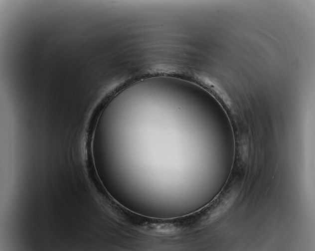 X0000094960395200712061316