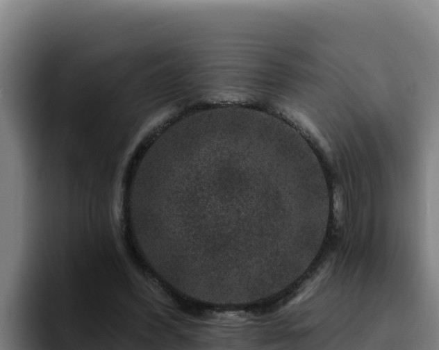 X0000094960396200712061316