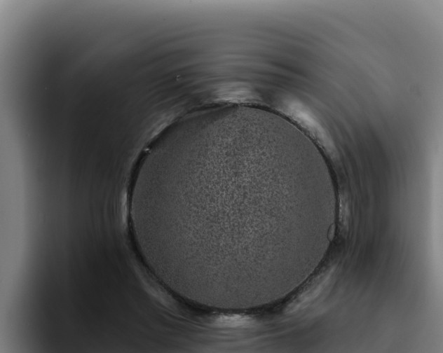 X0000094960397200712061316