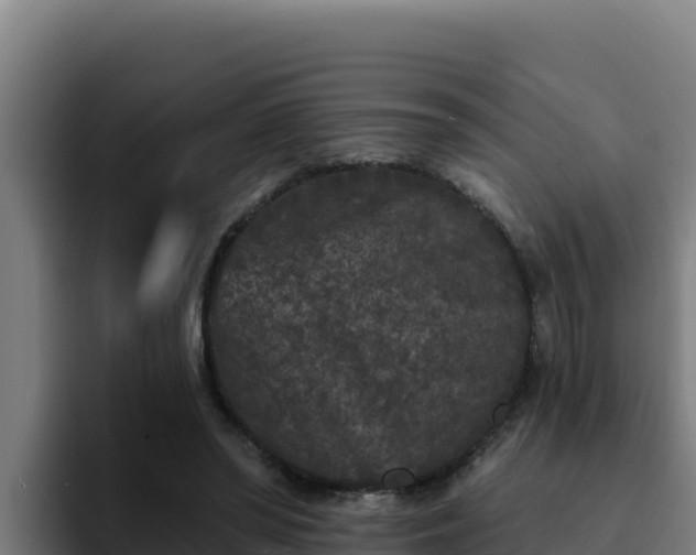 X0000094960398200712061316