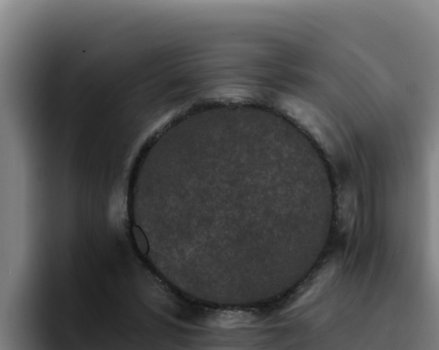 X0000094960399200712061316