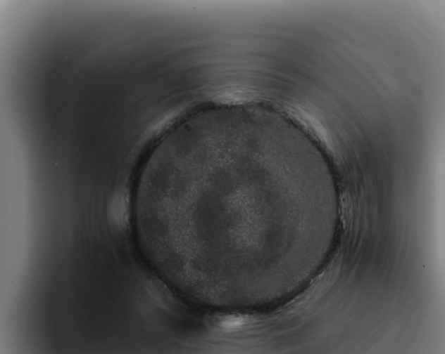 X0000094960400200712061316