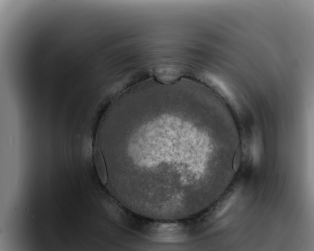 X0000094960401200712061316