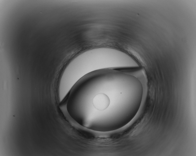 X0000094960403200712061316