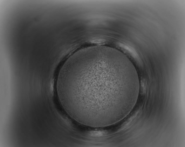 X0000094960404200712061315