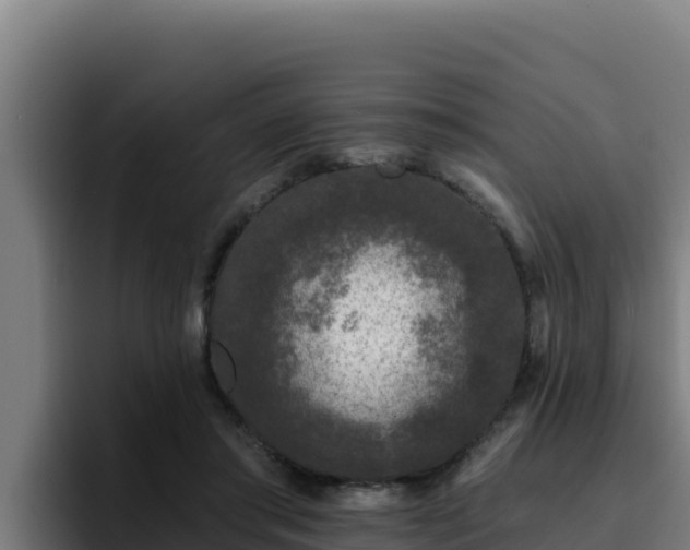 X0000094960405200712061315