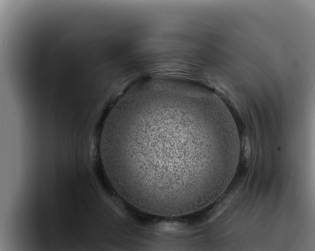 X0000094960408200712061315