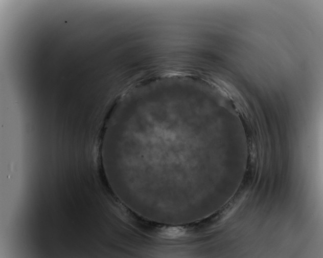 X0000094960409200712061315