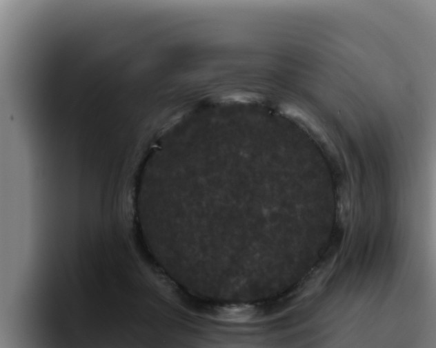 X0000094960410200712061315