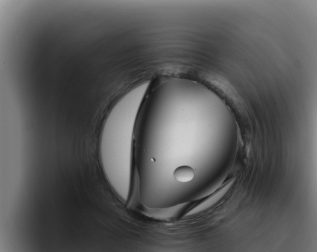 X0000094960411200712061315