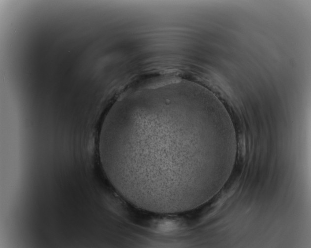 X0000094960412200712061315