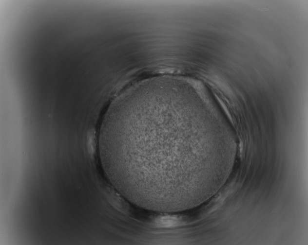 X0000094960413200712061315