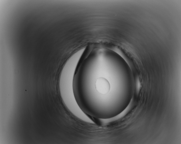 X0000094960415200712061315